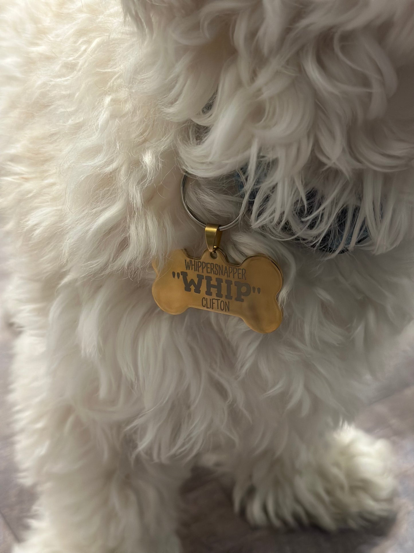 Dog Bone Pet Tag - Dog Collar Charm