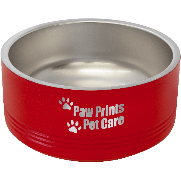 Polar Camel Medium 32oz Personalized Pet Bowl