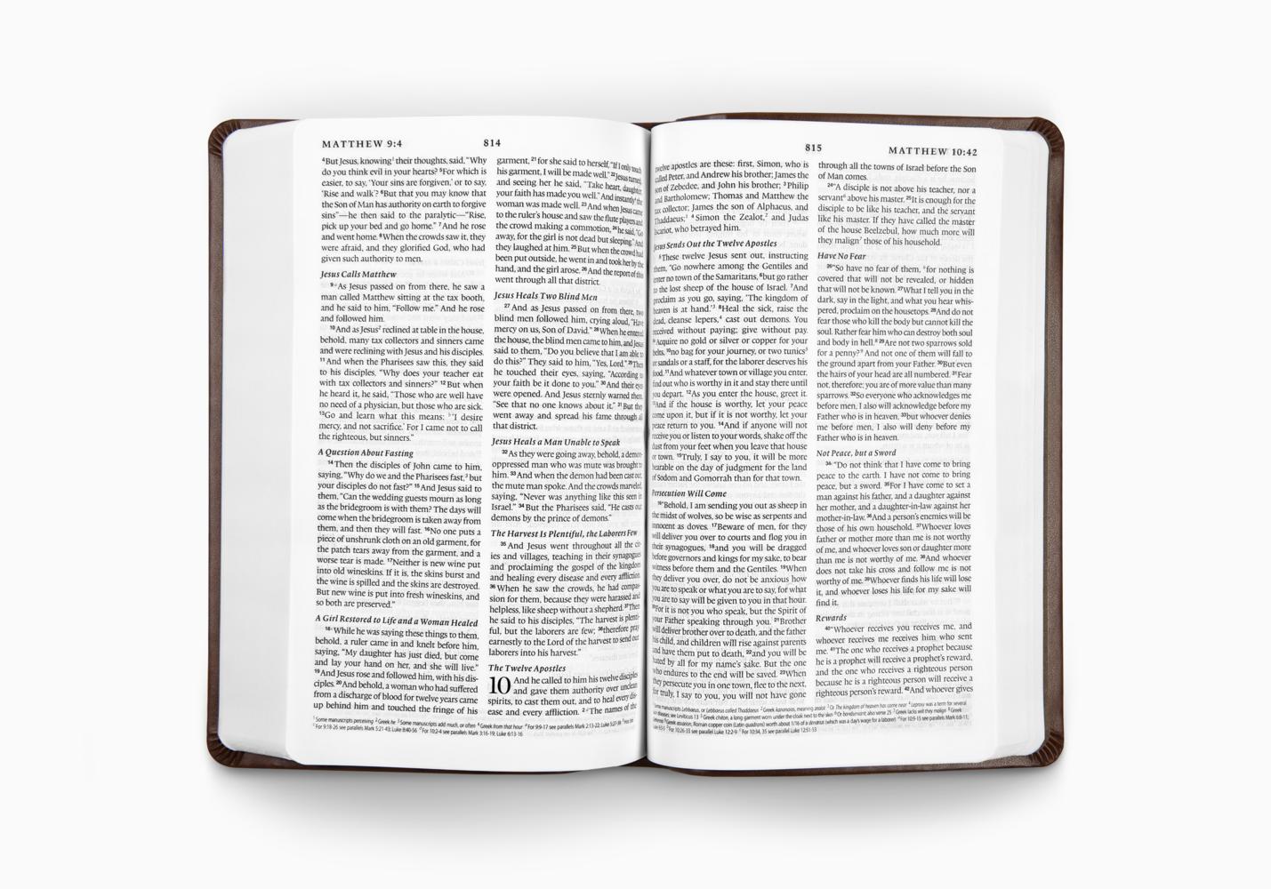 Personalized ESV Chestnut Bible
